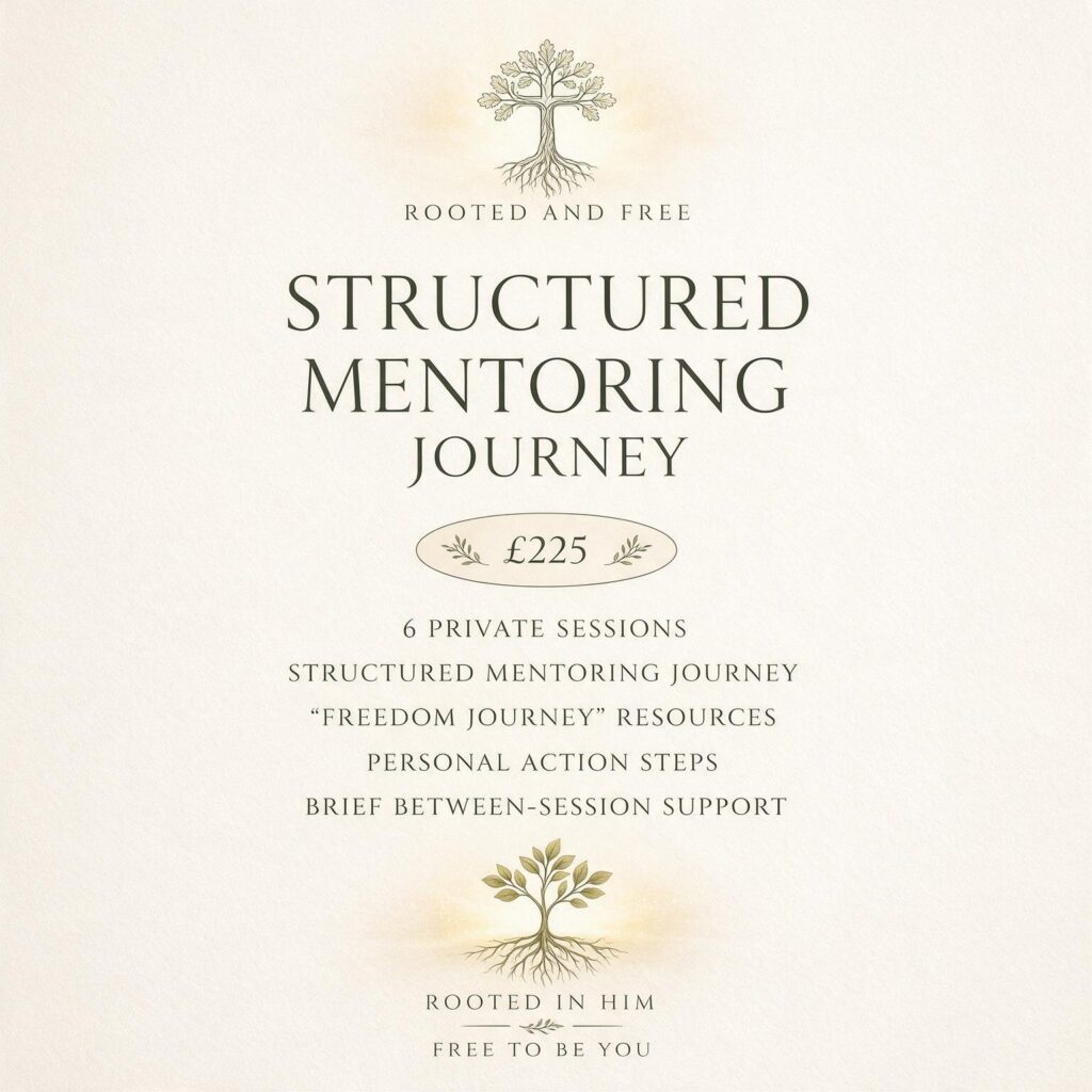 1 to 1 Mentoring Structured Mentoring Journey (6 Sessions )